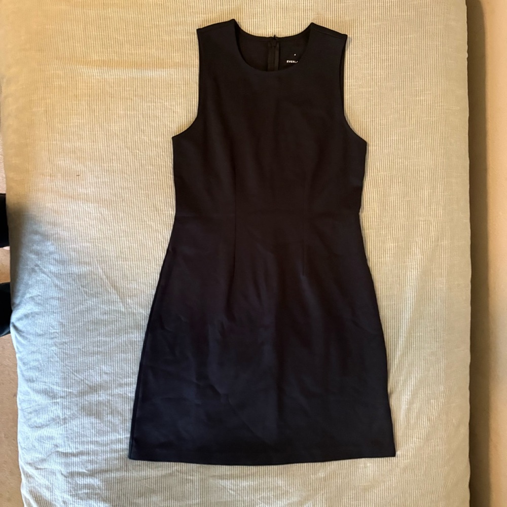 Everlane Black Sleeveless Mini Dress
